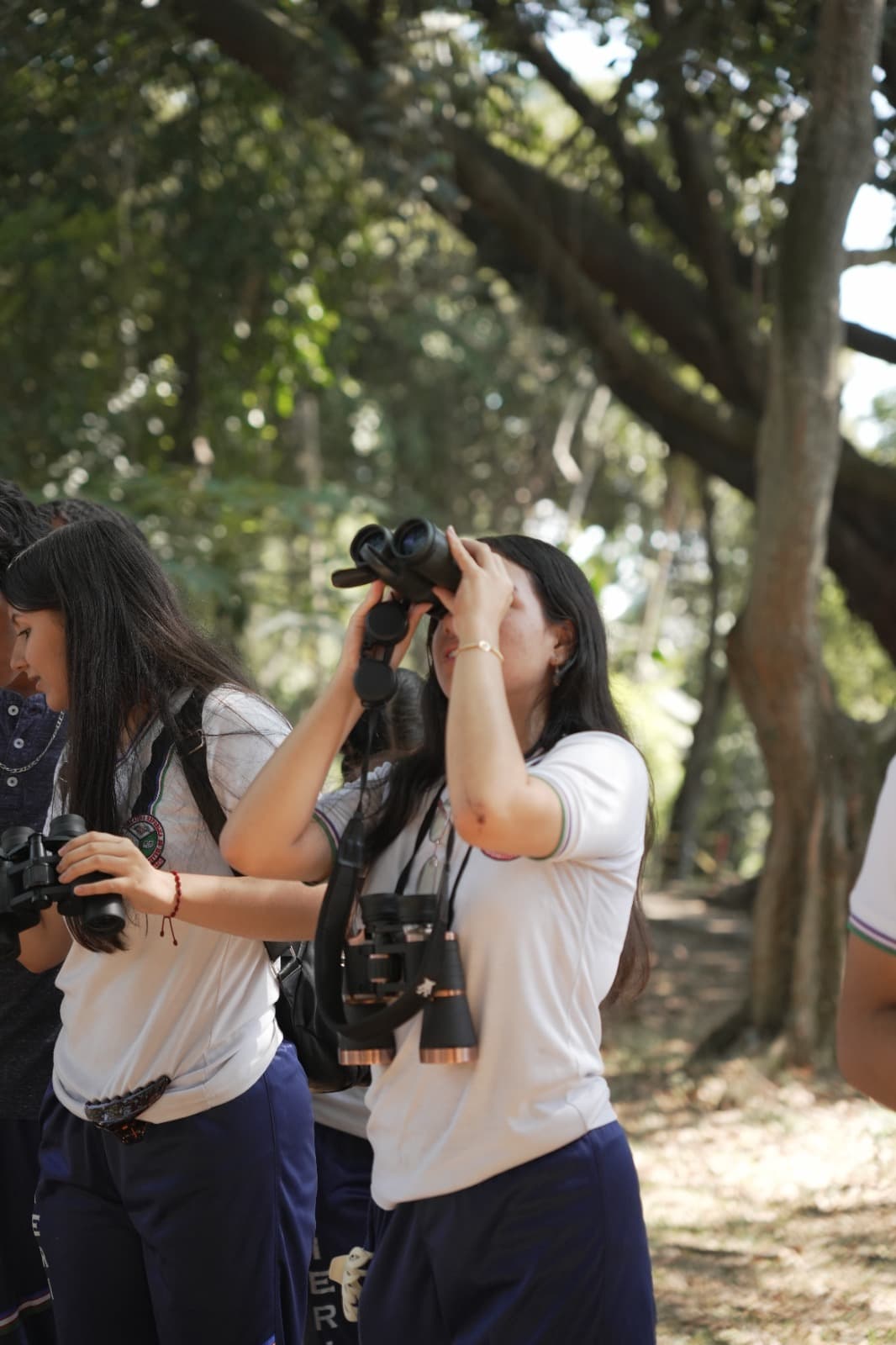 Estudiantes observando aves con binoculares bajo un árbol