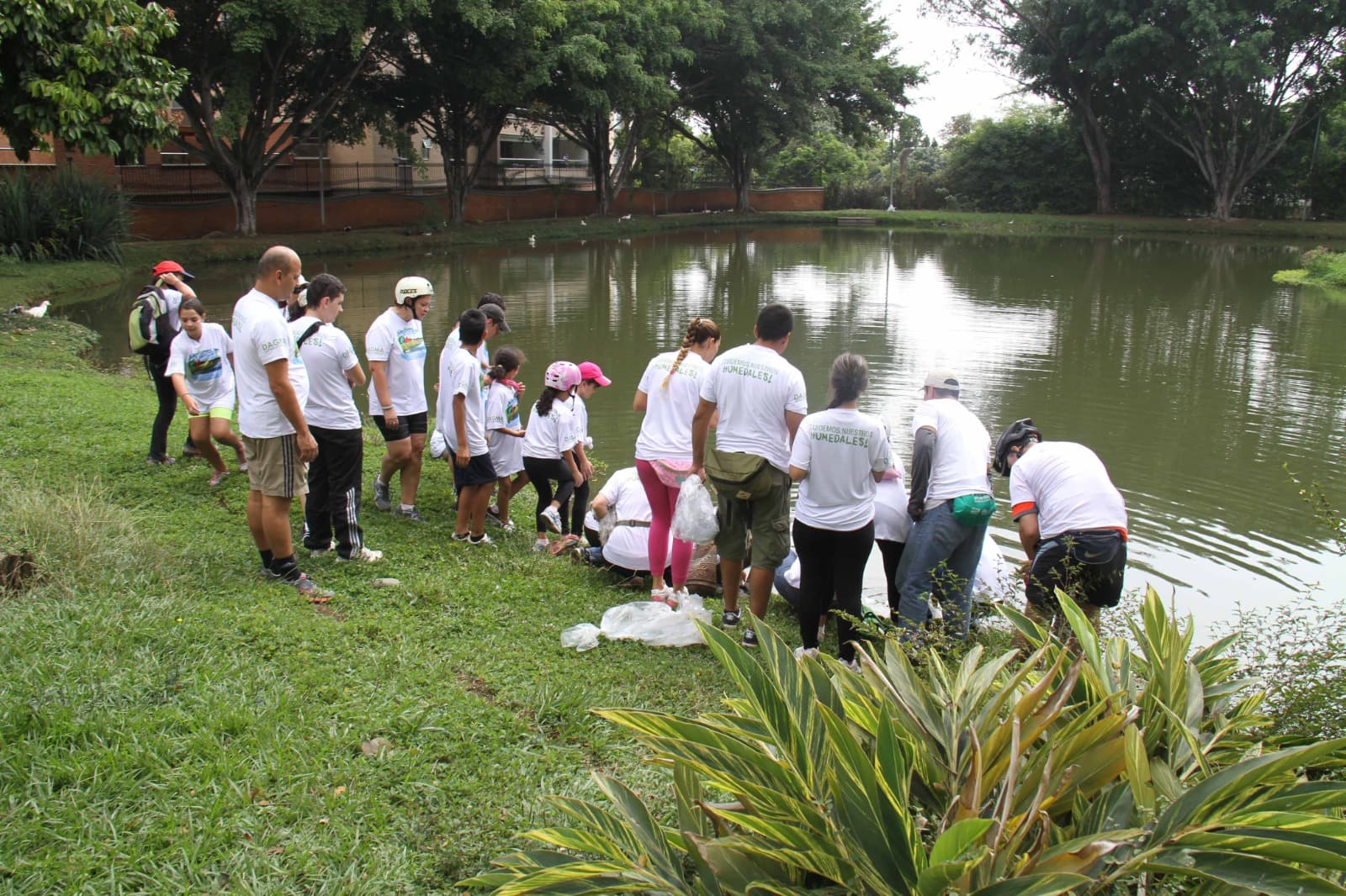Jornada comunitaria de limpieza en un humedal urbano de Cali con camisetas del DAGMA