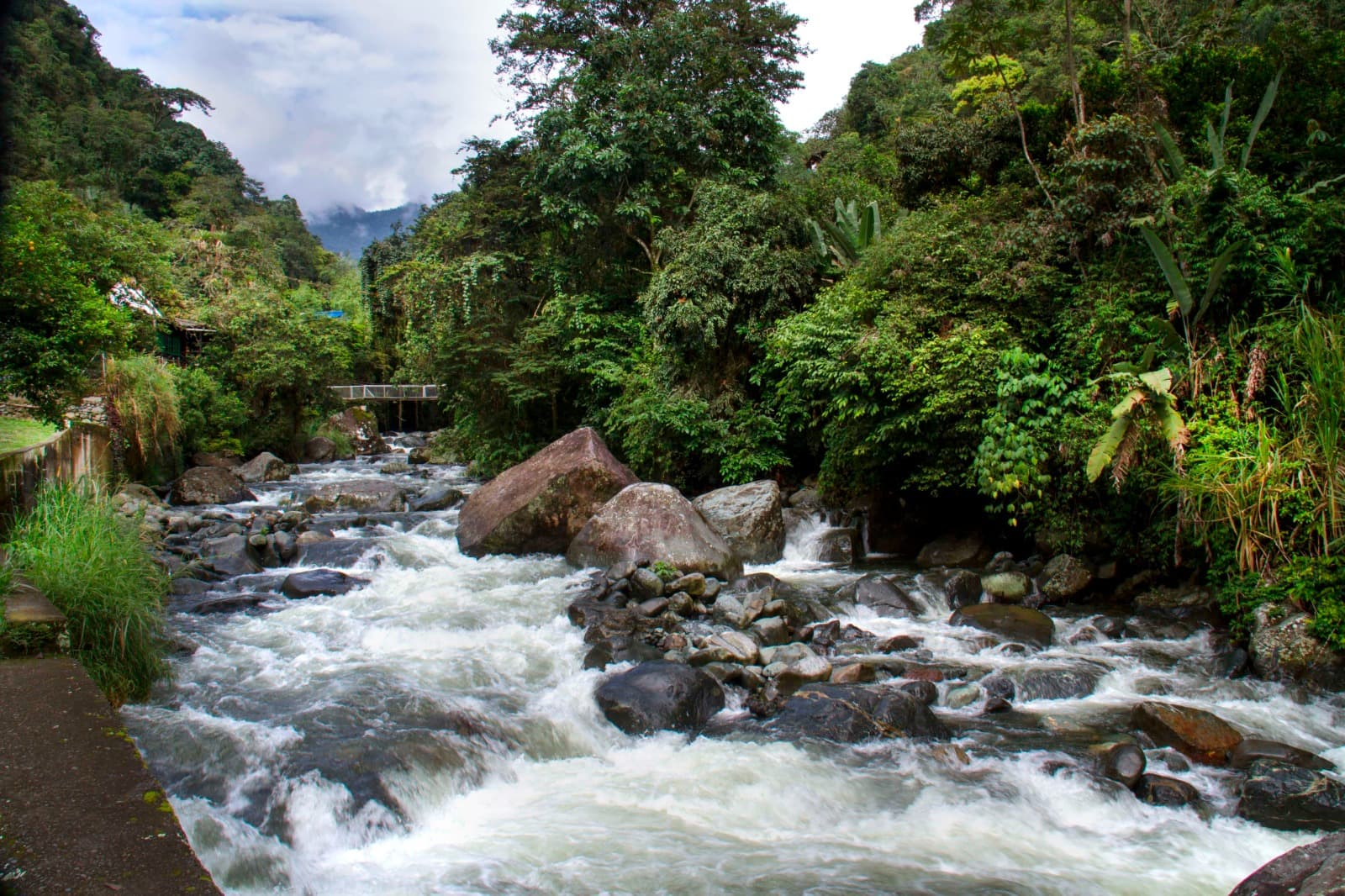 Río de montaña rodeado de bosque en los cerros de Cali